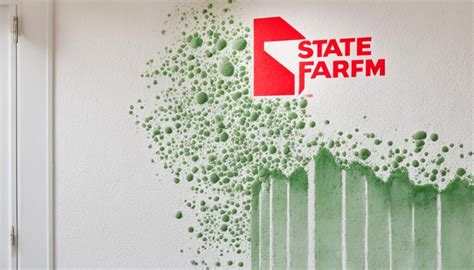 Does State Farm Black Mold Coverage
